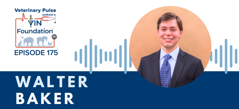VIN Foundation | Supporting veterinarians to cultivate a healthy animal community | free resources veterinary students veterinarians | Blog | Veterinary Pulse Podcast episode 175 | Veterinary Pulse Podcast with Walter Baker