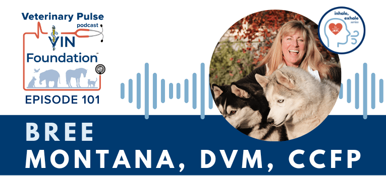 VIN Foundation | Supporting veterinarians to cultivate a healthy animal community | Blog | Veterinary Pulse Podcast | Vets4Vets® you are not alone peer-to-peer support Dr. Bree Montana