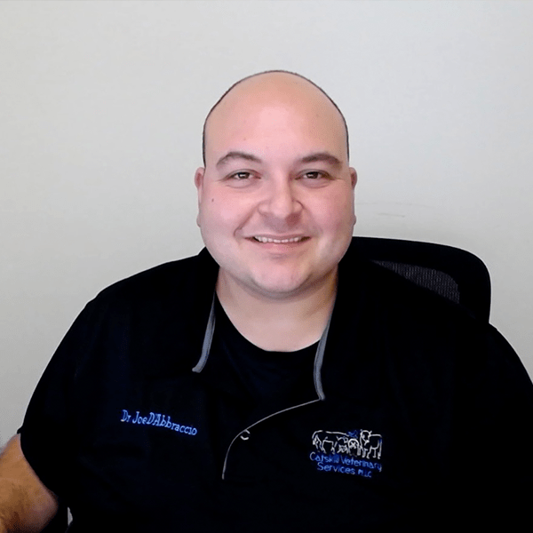 VIN Foundation | Supporting veterinarians to cultivate a healthy animal community | Our Team | Board of Directors | Joseph A. D’Abbraccio, DVM