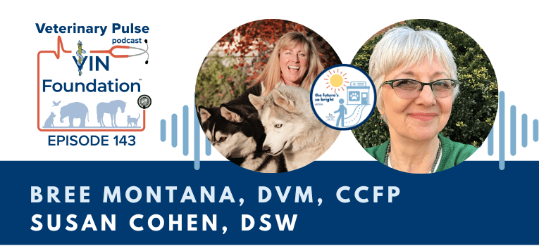 VIN Foundation | Supporting veterinarians to cultivate a healthy animal community | Nonprofit free veterinary resources | Blog | Veterinary Pulse Podcast | Veterinary Pulse Podcast with Dr. Bree Montana and Dr. Susan Cohen The Futures So Bright Ins and Outs of Selling a Veterinary practice different types of veterinary practice sale options the emotional mental aspect of selling a veterinary practice