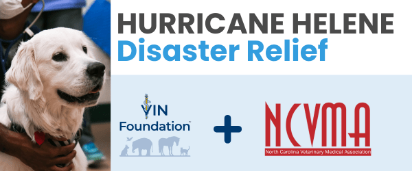 VIN Foundation Disaster Relief North Carolina Hurricane Helene Florida Hurricane Milton veterinary disaster relief animal disaster relief emergency veterinary disaster relief