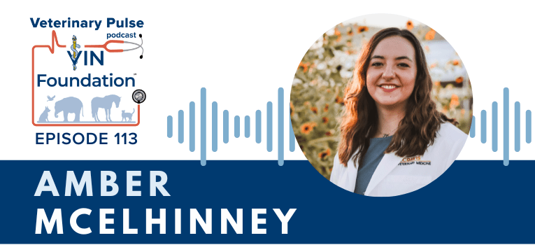 VIN Foundation | Supporting veterinarians to cultivate a healthy animal community | free resources veterinary students veterinarians | Blog | Veterinary Pulse Podcast | Veterinary Pulse Podcast with Amber McElhinney