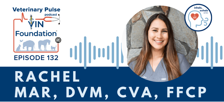VIN Foundation | Supporting veterinarians to cultivate a healthy animal community | Blog | Veterinary Pulse Podcast | Veterinary Pulse Podcast with Dr. Rachel Mar