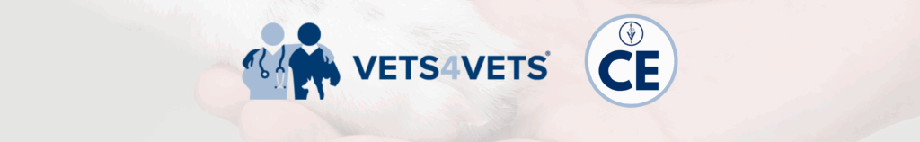 VIN Foundation Mindfulness Retreat 2025 Navigating our worlds mindfully mental wellness mental health mental wellness veterinary