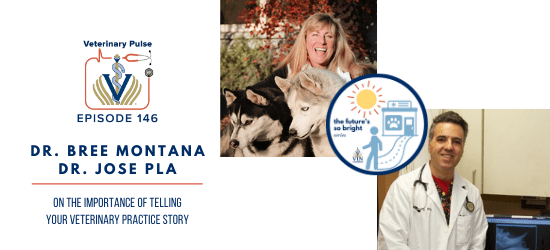 VIN Foundation | Supporting veterinarians to cultivate a healthy animal community | Nonprofit free veterinary resources | Blog | Veterinary Pulse Podcast | Veterinary Pulse Podcast with Dr. Bree Montana and Dr. Jose Pla The Futures So Bright Ins and Outs of Selling a Veterinary practice different types of veterinary practice sale options the emotional mental aspect of selling a veterinary practice