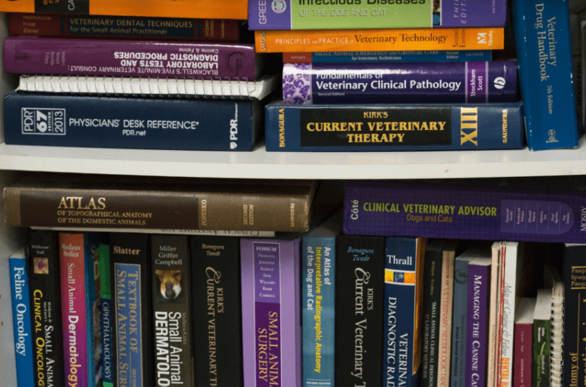 VIN Foundation | Supporting veterinarians to cultivate a healthy animal community | Resources | Vet School Bound | Apply Smarter to veterinary school | veterinary school admission prerequisites