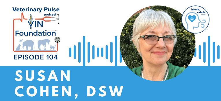 VIN Foundation | Supporting veterinarians to cultivate a healthy animal community | Blog | Veterinary Pulse Podcast | Are you caring too much? Red Shoe Syndrome with Dr. Susan Cohen