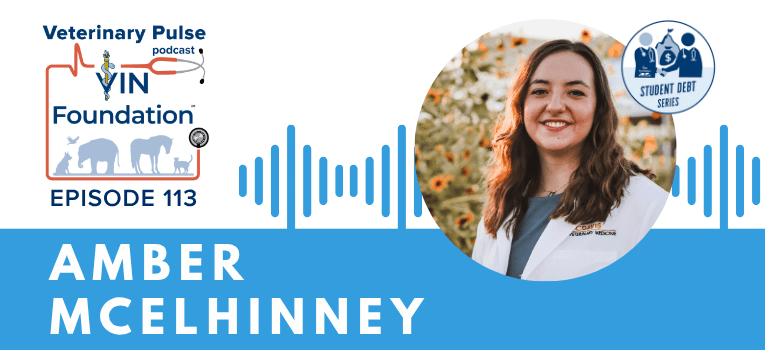 VIN Foundation | Supporting veterinarians to cultivate a healthy animal community | free resources veterinary students veterinarians | Blog | Veterinary Pulse Podcast | Veterinary Pulse Podcast with Amber McElhinney