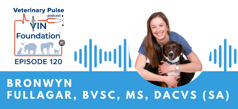 VIN Foundation | Supporting veterinarians to cultivate a healthy animal community | free resources veterinary students veterinarians | Blog | Veterinary Pulse Podcast | Veterinary Pulse Podcast with Dr. Bronwyn Fullagar