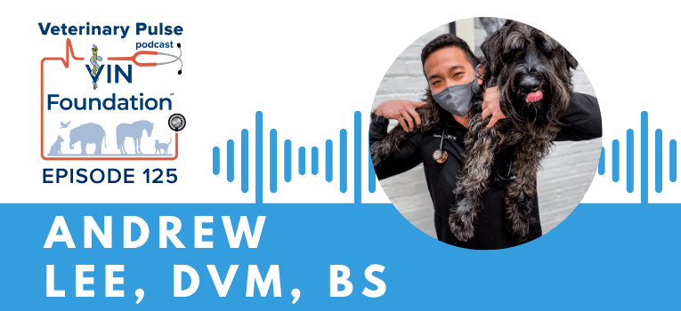 VIN Foundation | Supporting veterinarians to cultivate a healthy animal community | free resources veterinary students veterinarians | Blog | Veterinary Pulse Podcast | Veterinary Pulse Podcast with Dr. Andrew Lee
