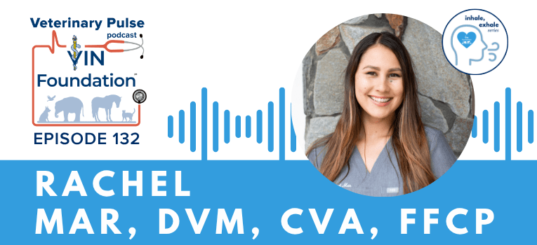 VIN Foundation | Supporting veterinarians to cultivate a healthy animal community | Blog | Veterinary Pulse Podcast | Veterinary Pulse Podcast with Dr. Rachel Mar