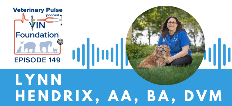 VIN Foundation | Supporting veterinarians to cultivate a healthy animal community | prevet resources veterinary student resources veterinarian resources | Nonprofit free veterinary resources | Blog | Veterinary Pulse Podcast Episode 149 | Veterinary Pulse Podcast with Dr. Lynn Hendrix on the importance of evidence based medicine for palliative care