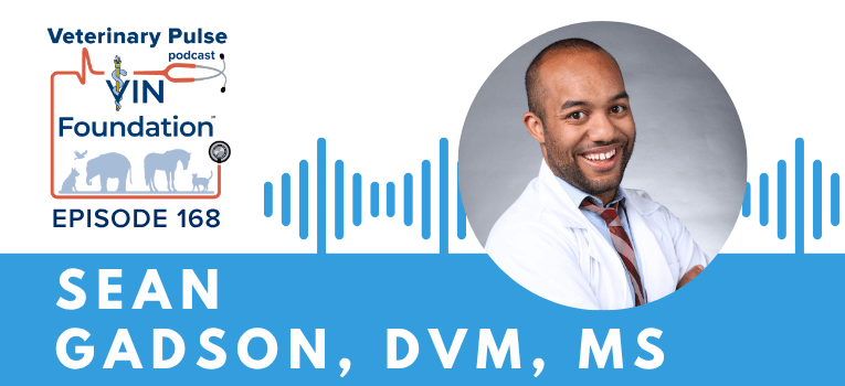 VIN Foundation | Supporting veterinarians to cultivate a healthy animal community | free resources veterinary students veterinarians | Blog | Veterinary Pulse Podcast | Dr. Sean Gadson on his persistence to break into the veterinary profession coming from an underrepresented community, and his commitment to support colleagues