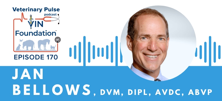 VIN Foundation | Supporting veterinarians to cultivate a healthy animal community | free resources veterinary students veterinarians | Blog | Veterinary Pulse Podcast | Dr. Jan Bellows on the power of finding your passion, and the importance of colleagues helping each other in the profession