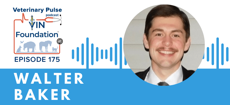 VIN Foundation | Supporting veterinarians to cultivate a healthy animal community | free resources veterinary students veterinarians | Blog | Veterinary Pulse Podcast episode 175 | Veterinary Pulse Podcast with Walter Baker
