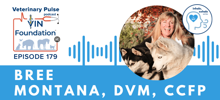 VIN Foundation | Supporting veterinarians to cultivate a healthy animal community | Nonprofit free veterinary resources | Blog | Veterinary Pulse Podcast | Veterinary Pulse Podcast with Dr. Bree Montana dives deep on preventing burnout and compassion fatigue