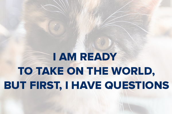 VIN Foundation | Supporting veterinarians to cultivate a healthy animal community | Resources | Thrive in Five | New Graduate Survival Manual