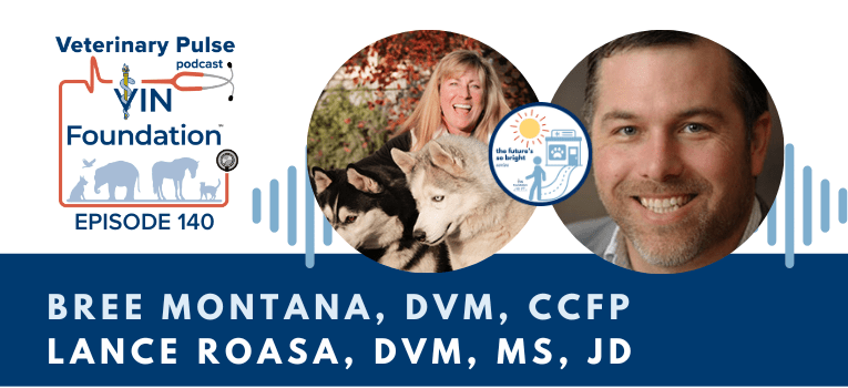 VIN Foundation | Supporting veterinarians to cultivate a healthy animal community | Nonprofit free veterinary resources | Blog | Veterinary Pulse Podcast | Veterinary Pulse Podcast with Dr. Bree Montana and Dr. Lance Roasa The Futures So Bright Ins and Outs of Selling a Veterinary practice