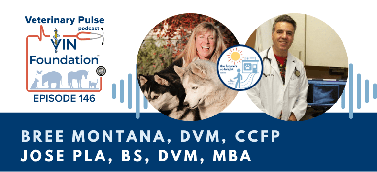 VIN Foundation | Supporting veterinarians to cultivate a healthy animal community | Nonprofit free veterinary resources | Blog | Veterinary Pulse Podcast | Veterinary Pulse Podcast with Dr. Bree Montana and Dr. Jose Pla The Futures So Bright Ins and Outs of Selling a Veterinary practice different types of veterinary practice sale options the emotional mental aspect of selling a veterinary practice