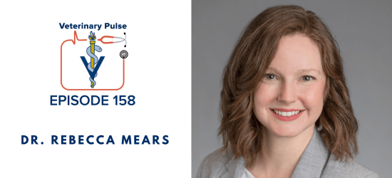 VIN Foundation | Supporting veterinarians to cultivate a healthy animal community | prevet resources veterinary student resources veterinarian resources | Nonprofit free veterinary resources | Blog | Veterinary Pulse Podcast Episode 158 | Dr. Rebecca Mears on her love for horses, and the vital role resources have played in her veterinary career