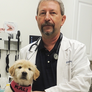 VIN Foundation | Supporting veterinarians to cultivate a healthy animal community | Our Team | VIN Board Liaison | John Daugherty DVM