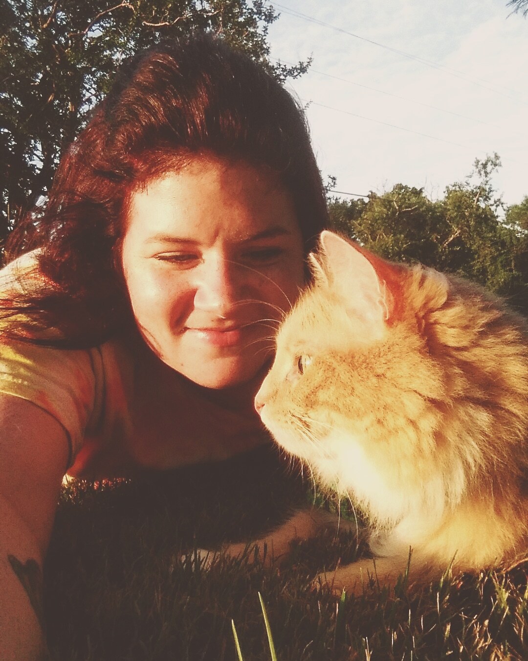 VIN Foundation Dr. Sophia Yin Memorial Fund Testimonial Impact Veterinarian Veterinary Behaviorist Kaity O'Brien