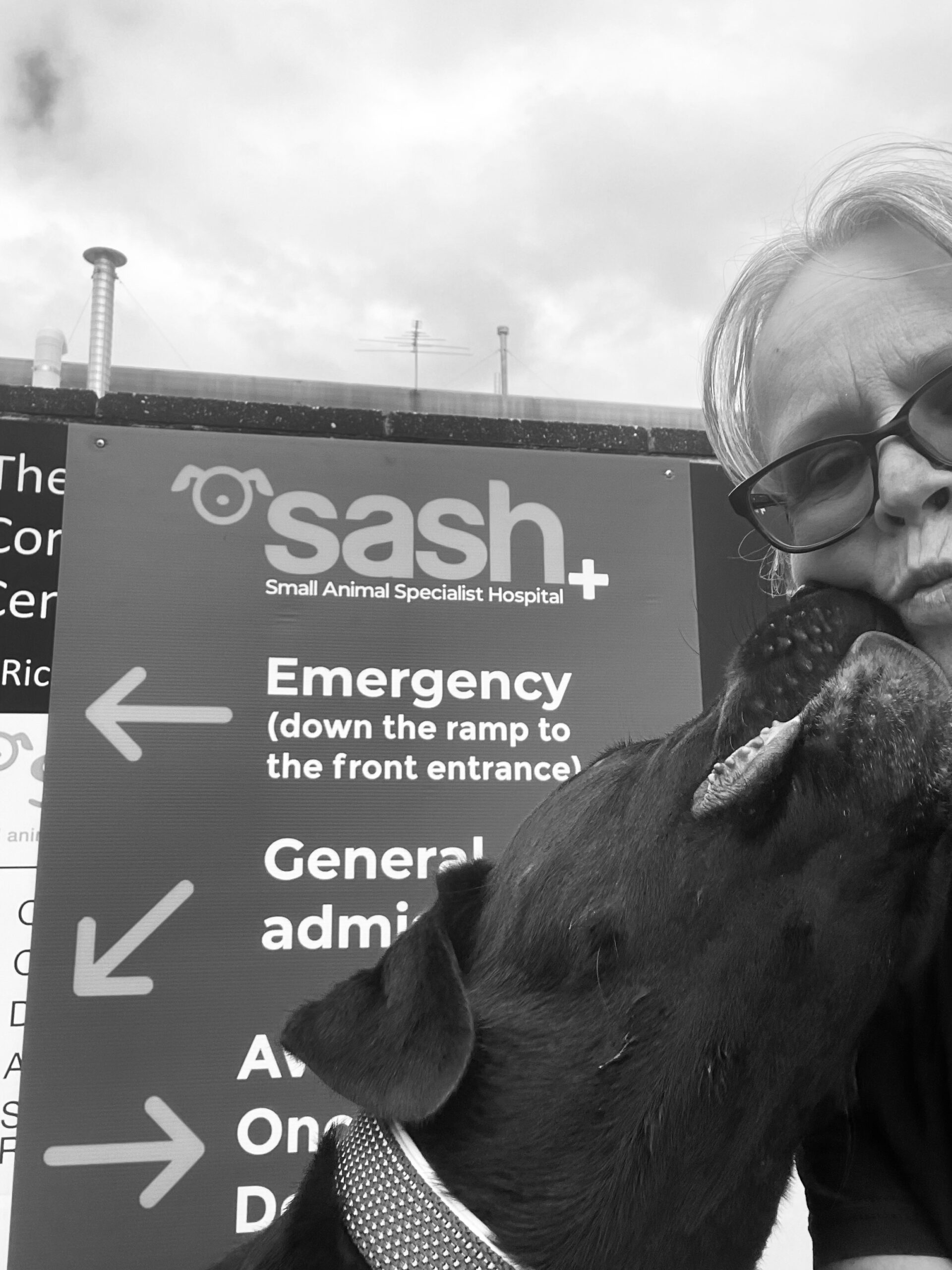 VIN Foundation Dr. Sophia Yin Memorial Fund Testimonial Impact Veterinarian Veterinary Behaviorist Vee Murtagh