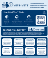 VINFoundationVets4Vets02.24 VINFoundationVets4Vets02.24