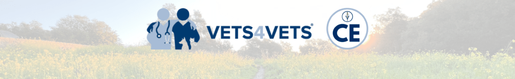 VIN Foundation | Supporting veterinarians to cultivate a healthy animal community | Nonprofit veterinary resources tools programs | veterinary continued education | Bringing Our Core Values Mindfully To Our Professional And Personal Lives - A mindfulness retreat for veterinarians, veterinary technicians/technologists, staff, and veterinary students