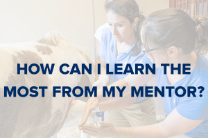 getthemostmentor