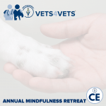 VIN Foundation | Supporting veterinarians to cultivate a healthy animal community | Nonprofit veterinary resources tools programs | veterinary continued education | Cultivating a life of gratitude - A mindfulness retreat for veterinarians, veterinary technicians/technologists, staff, and veterinary students