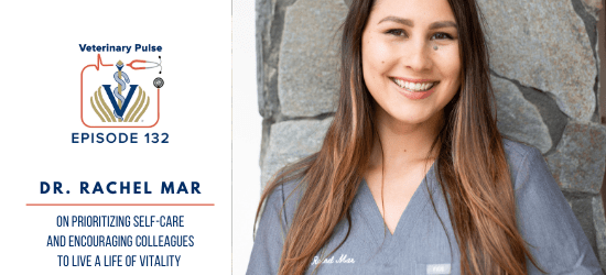 VIN Foundation | Supporting veterinarians to cultivate a healthy animal community | Blog | Veterinary Pulse Podcast | Veterinary Pulse Podcast with Dr. Rachel Mar