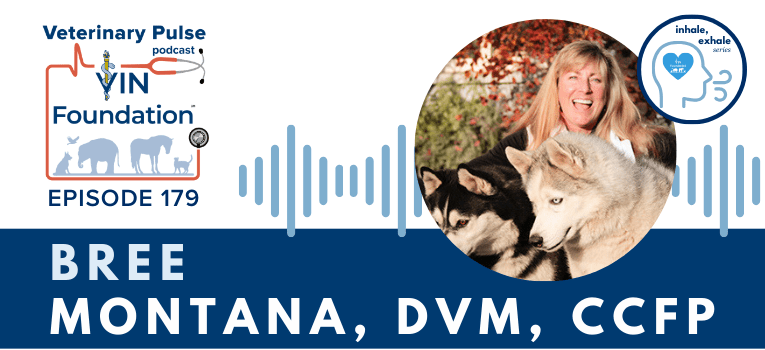 VIN Foundation | Supporting veterinarians to cultivate a healthy animal community | Nonprofit free veterinary resources | Blog | Veterinary Pulse Podcast | Veterinary Pulse Podcast with Dr. Bree Montana dives deep on preventing burnout and compassion fatigue