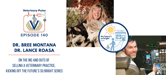 VIN Foundation | Supporting veterinarians to cultivate a healthy animal community | Nonprofit free veterinary resources | Blog | Veterinary Pulse Podcast | Veterinary Pulse Podcast with Dr. Bree Montana and Dr. Lance Roasa The Futures So Bright Ins and Outs of Selling a Veterinary practice