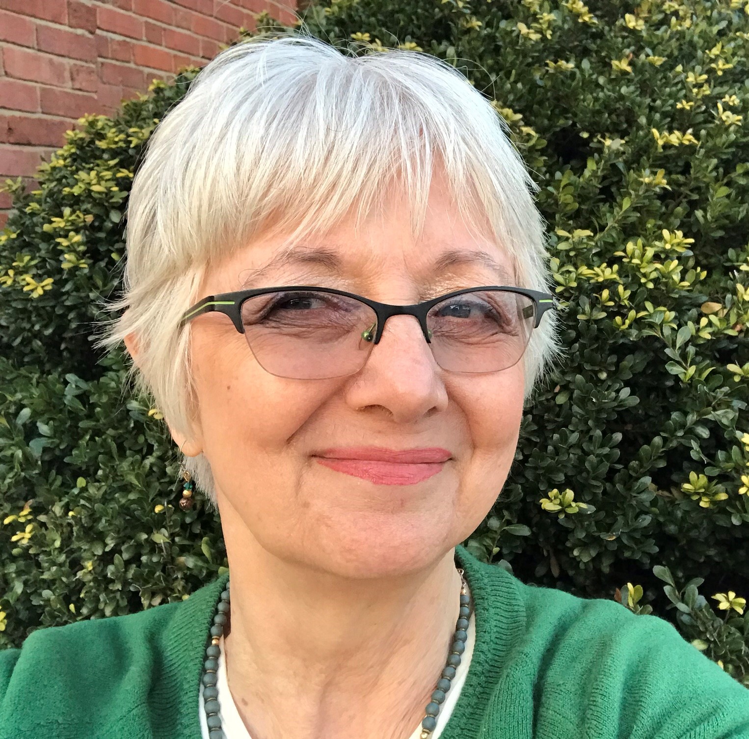 VIN Foundation | Supporting veterinarians to cultivate a healthy animal community | Resources | Vets4Vets® | Susan Cohen, DSW, ACSW