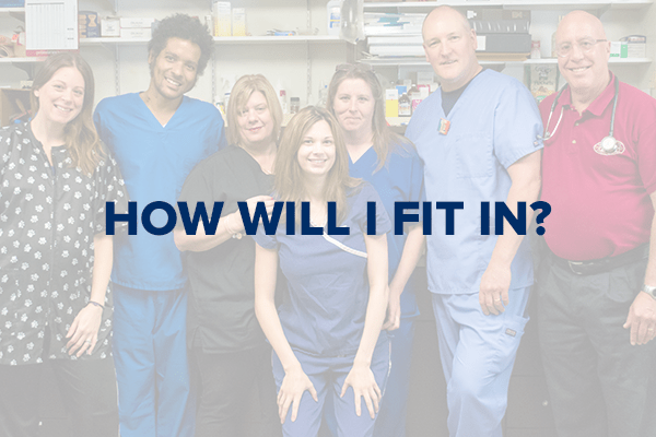 VIN Foundation | Supporting veterinarians to cultivate a healthy animal community | Resources | Thrive in Five | New Graduate Survival Manual | Workplace Fitting In