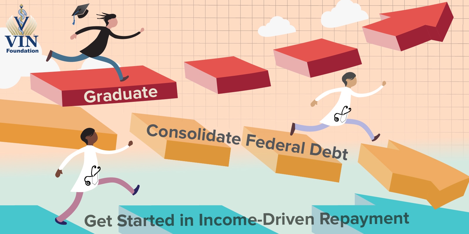 VIN Foundation | Supporting veterinarians to cultivate a healthy animal community | Blog | 2019 New Veterinary Graduate Student Loan Playbook