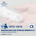VIN Foundation Mindfulness Retreat 2025 Navigating our worlds mindfully mental wellness mental health mental wellness veterinary
