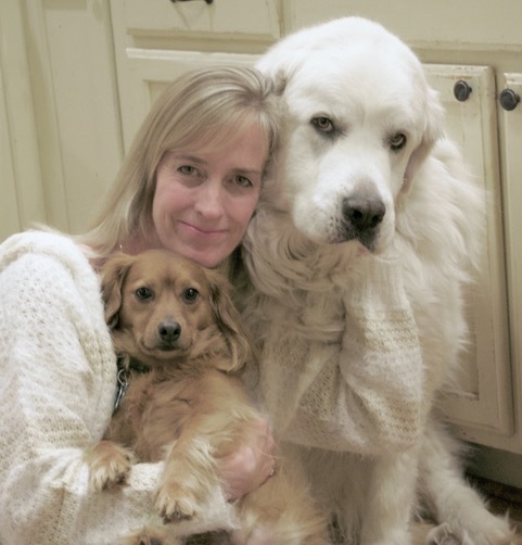 VIN Foundation | Supporting veterinarians to cultivate a healthy animal community | Our Team | Vets4Vets® Champion | DVM, MA, LCMHCA | veterinary mental wellness veterinary mental health veterinary mental health support