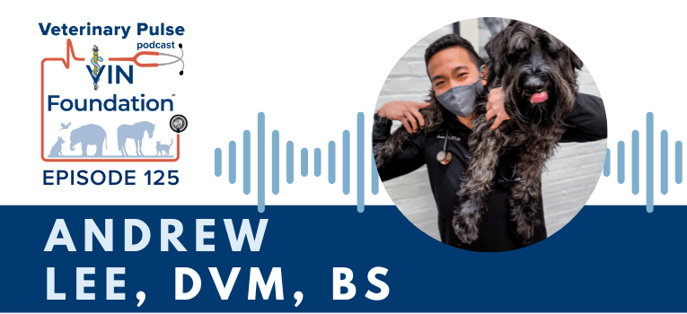 VIN Foundation | Supporting veterinarians to cultivate a healthy animal community | free resources veterinary students veterinarians | Blog | Veterinary Pulse Podcast | Veterinary Pulse Podcast with Dr. Andrew Lee