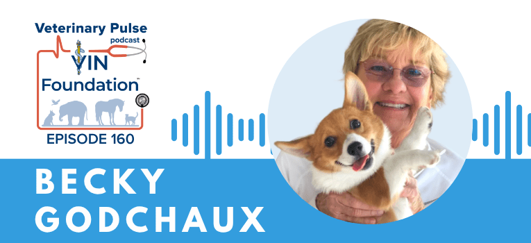 VIN Foundation | Supporting veterinarians to cultivate a healthy animal community | prevet resources veterinary student resources veterinarian resources | Nonprofit free veterinary resources | Blog | Veterinary Pulse Podcast Episode 160 | Becky Godchaux shares her story in creating the veterinary student scholarship | veterinary student scholarship | veterinary school scholarship