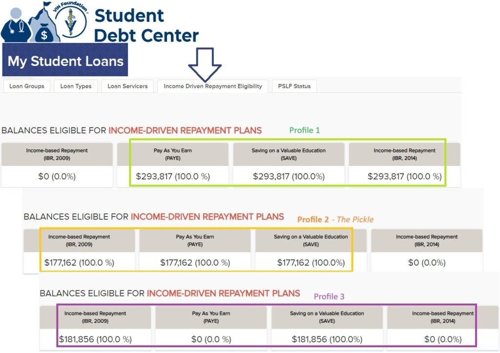 VIN Foundation | Supporting veterinarians to cultivate a healthy animal community | prevet resources veterinary student resources veterinarian resources | Nonprofit free veterinary resources | Blog | 2024 Graduating Veterinarians: Special Student Loan Timing Considerations