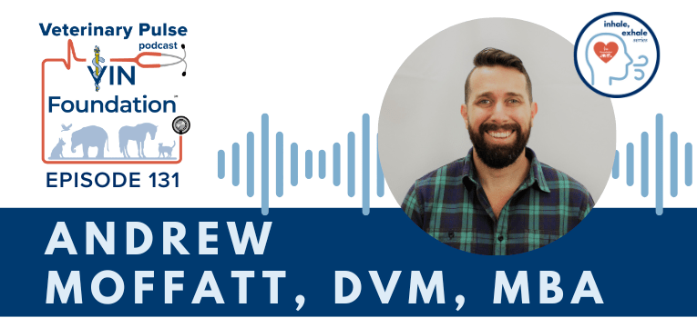 VIN Foundation | Supporting veterinarians to cultivate a healthy animal community | free resources veterinary students veterinarians | Blog | Veterinary Pulse Podcast | Veterinary Pulse Podcast with Dr. Andrew Moffatt