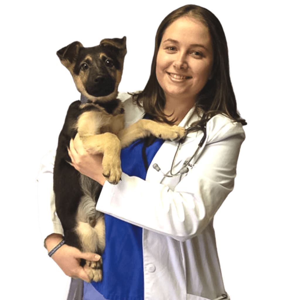 VIN Foundation I am a new veterinary graduates new veterinary graduate support