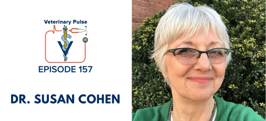 VIN Foundation | Supporting veterinarians to cultivate a healthy animal community | prevet resources veterinary student resources veterinarian resources | Nonprofit free veterinary resources | Blog | Veterinary Pulse Podcast Episode 157 | Dr. Susan Cohen on perfectionism, why it impacts the veterinary profession, how to identify it, and what to do next Inhale Exhale Veterinary Mental Wellness Wellbeing